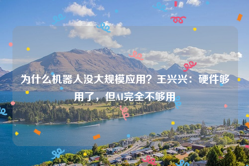 为什么机器人没大规模应用？王兴兴：硬件够用了，但AI完全不够用
