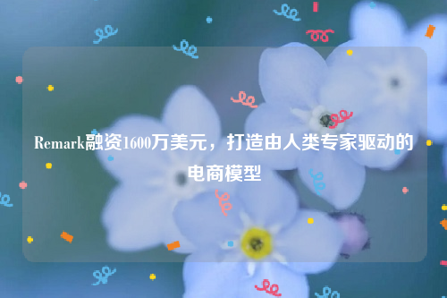 Remark融资1600万美元，打造由人类专家驱动的电商模型