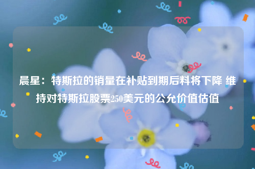 晨星：特斯拉的销量在补贴到期后料将下降 维持对特斯拉股票250美元的公允价值估值