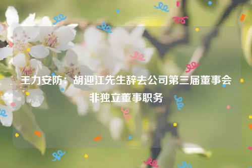 王力安防：胡迎江先生辞去公司第三届董事会非独立董事职务