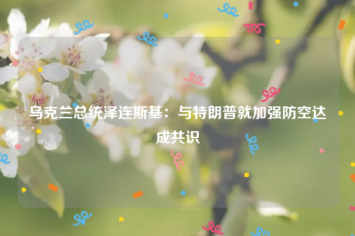 乌克兰总统泽连斯基：与特朗普就加强防空达成共识