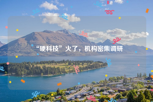 “硬科技”火了，机构密集调研