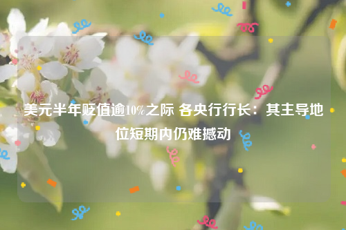 美元半年贬值逾10%之际 各央行行长：其主导地位短期内仍难撼动