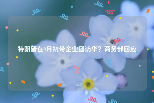 特朗普在9月初带企业团访华？商务部回应
