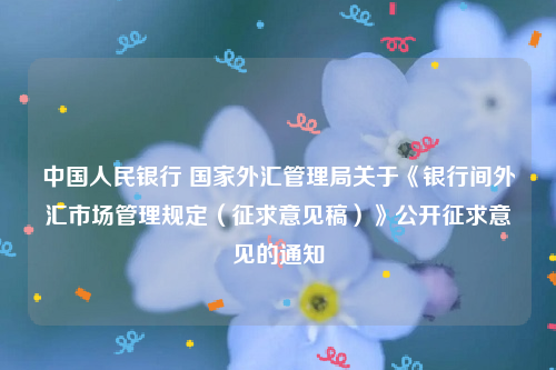 中国人民银行 国家外汇管理局关于《银行间外汇市场管理规定（征求意见稿）》公开征求意见的通知
