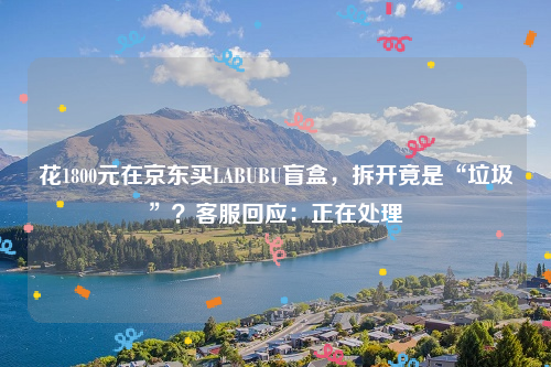 花1800元在京东买LABUBU盲盒，拆开竟是“垃圾”？客服回应：正在处理