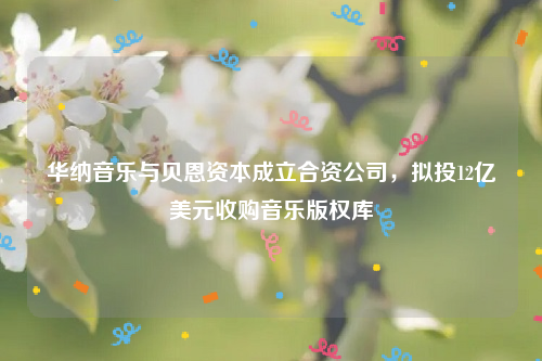 华纳音乐与贝恩资本成立合资公司，拟投12亿美元收购音乐版权库
