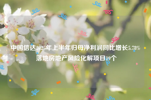 中国信达2025年上半年归母净利润同比增长5.78% 落地房地产风险化解项目19个