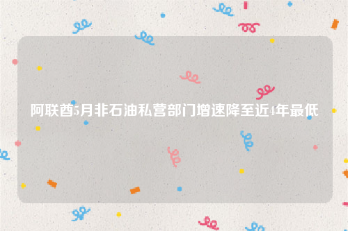 阿联酋5月非石油私营部门增速降至近4年最低