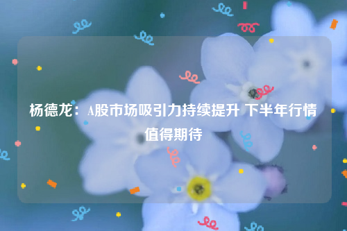 杨德龙：A股市场吸引力持续提升 下半年行情值得期待