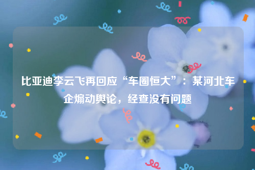 比亚迪李云飞再回应“车圈恒大”：某河北车企煽动舆论，经查没有问题