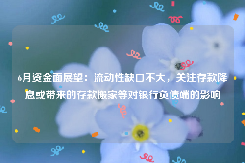 6月资金面展望：流动性缺口不大，关注存款降息或带来的存款搬家等对银行负债端的影响