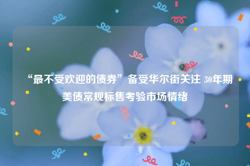 “最不受欢迎的债券”备受华尔街关注 30年期美债常规标售考验市场情绪