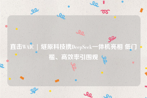 直击WAIC | 燧原科技携DeepSeek一体机亮相 低门槛、高效率引围观