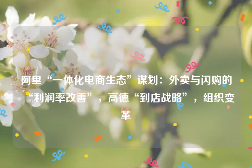 阿里“一体化电商生态”谋划：外卖与闪购的“利润率改善”，高德“到店战略”，组织变革