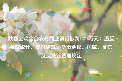 陕西宝鸡金台农村商业银行被罚127.6万元：违反金融统计、支付结算、货币金银、国库、征信及反洗钱管理规定