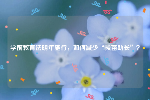 学前教育法明年施行，如何减少“拔苗助长”？
