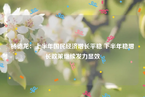 杨德龙：上半年国民经济增长平稳 下半年稳增长政策继续发力显效