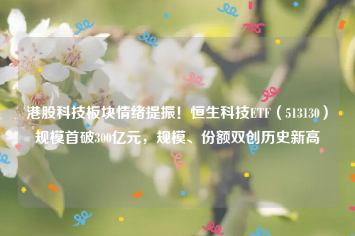 港股科技板块情绪提振！恒生科技ETF（513130）规模首破300亿元，规模、份额双创历史新高