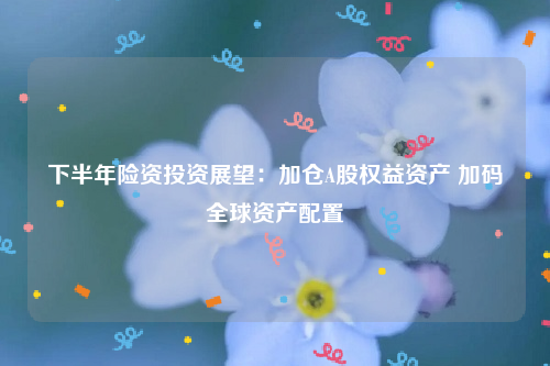 下半年险资投资展望：加仓A股权益资产 加码全球资产配置