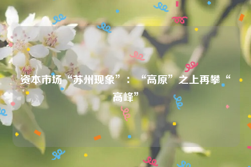 资本市场“苏州现象”：“高原”之上再攀“高峰”
