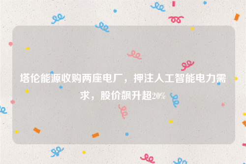 塔伦能源收购两座电厂，押注人工智能电力需求，股价飙升超20%