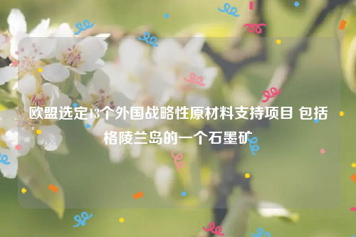 欧盟选定13个外国战略性原材料支持项目 包括格陵兰岛的一个石墨矿