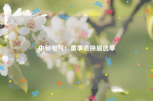 中恒电气：董事会换届选举