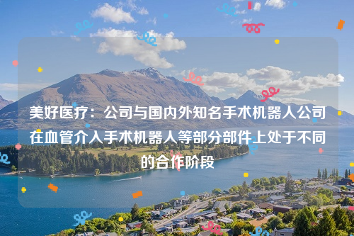 美好医疗：公司与国内外知名手术机器人公司在血管介入手术机器人等部分部件上处于不同的合作阶段