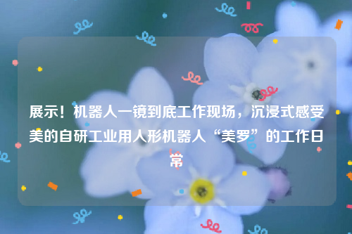 展示！机器人一镜到底工作现场，沉浸式感受美的自研工业用人形机器人“美罗”的工作日常