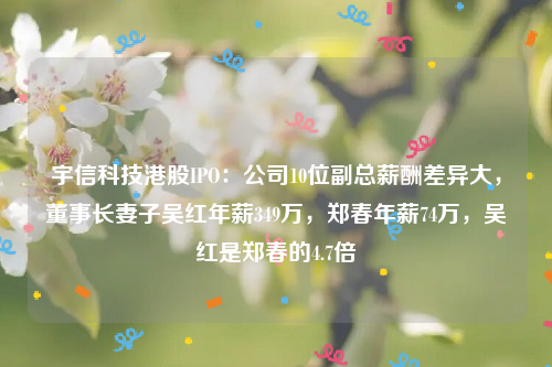宇信科技港股IPO：公司10位副总薪酬差异大，董事长妻子吴红年薪349万，郑春年薪74万，吴红是郑春的4.7倍