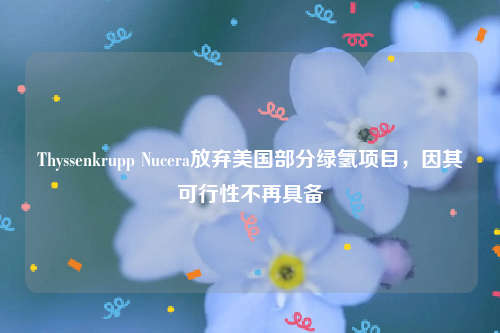 Thyssenkrupp Nucera放弃美国部分绿氢项目，因其可行性不再具备