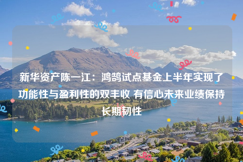 新华资产陈一江：鸿鹄试点基金上半年实现了功能性与盈利性的双丰收 有信心未来业绩保持长期韧性