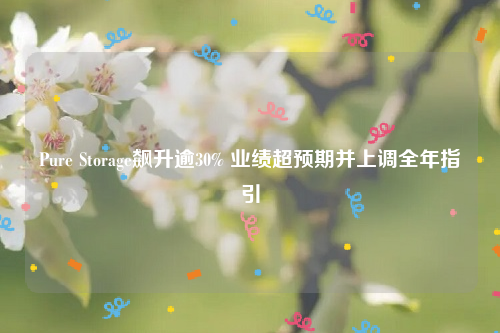 Pure Storage飙升逾30% 业绩超预期并上调全年指引
