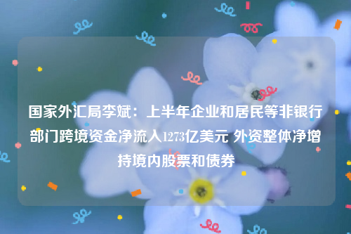 国家外汇局李斌：上半年企业和居民等非银行部门跨境资金净流入1273亿美元 外资整体净增持境内股票和债券