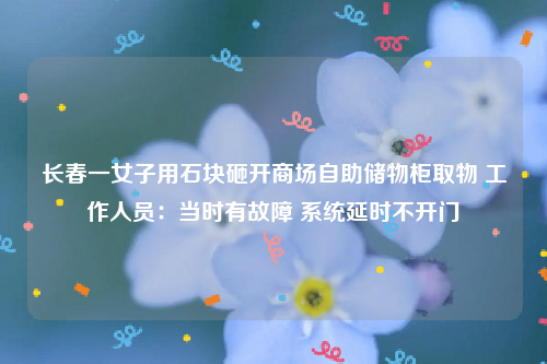 长春一女子用石块砸开商场自助储物柜取物 工作人员：当时有故障 系统延时不开门