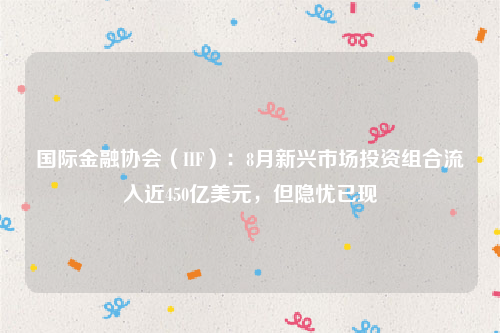 国际金融协会（IIF）：8月新兴市场投资组合流入近450亿美元，但隐忧已现