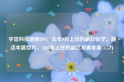 宇信科技港股IPO：去年9月上任的副总张宁、胡洁年薪百万，2015年上任的副总郑春年薪73.5万