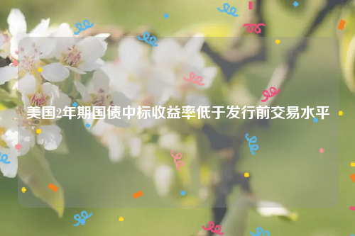 美国2年期国债中标收益率低于发行前交易水平