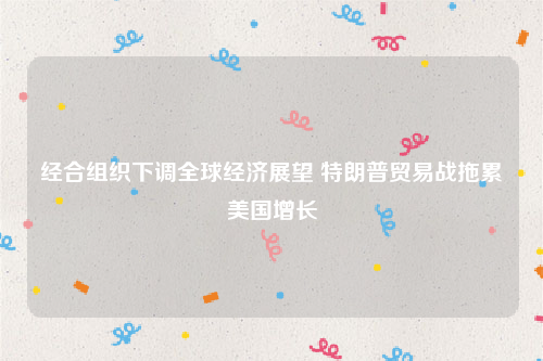 经合组织下调全球经济展望 特朗普贸易战拖累美国增长