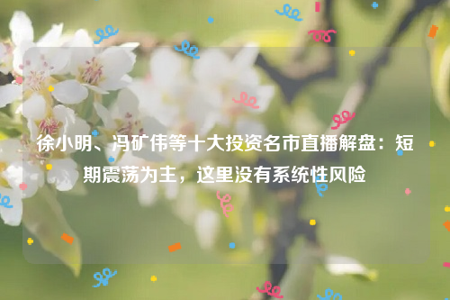 徐小明、冯矿伟等十大投资名市直播解盘：短期震荡为主，这里没有系统性风险