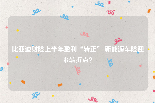 比亚迪财险上半年盈利“转正” 新能源车险迎来转折点？