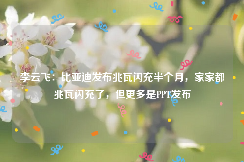 李云飞：比亚迪发布兆瓦闪充半个月，家家都兆瓦闪充了，但更多是PPT发布
