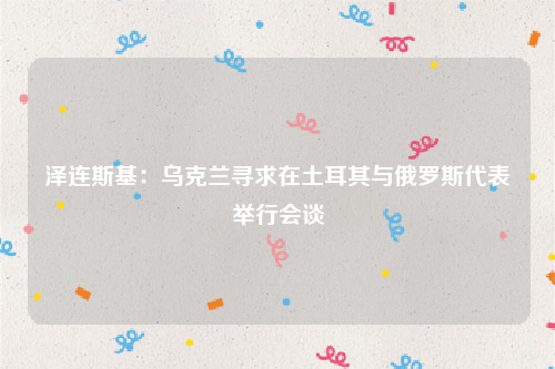 泽连斯基：乌克兰寻求在土耳其与俄罗斯代表举行会谈