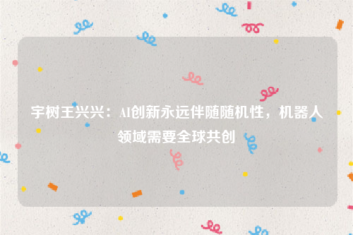 宇树王兴兴：AI创新永远伴随随机性，机器人领域需要全球共创