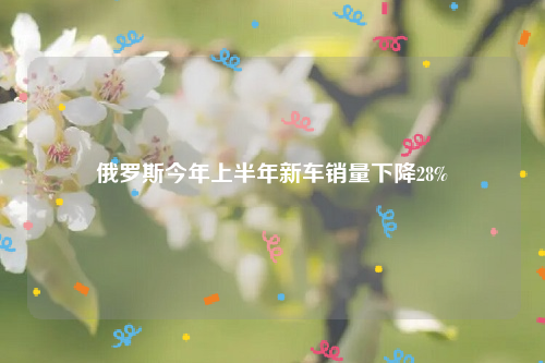 俄罗斯今年上半年新车销量下降28%