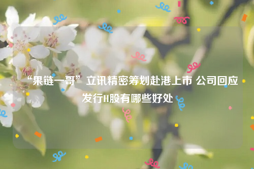 “果链一哥”立讯精密筹划赴港上市 公司回应发行H股有哪些好处