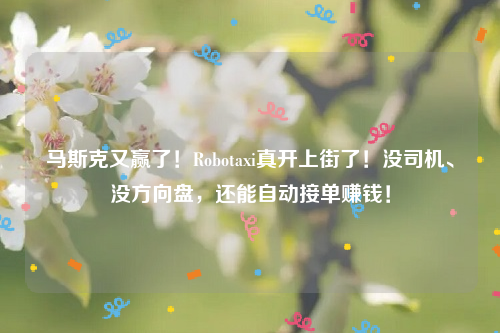 马斯克又赢了！Robotaxi真开上街了！没司机、没方向盘，还能自动接单赚钱！