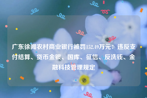 广东徐闻农村商业银行被罚152.49万元：违反支付结算、货币金银、国库、征信、反洗钱、金融科技管理规定