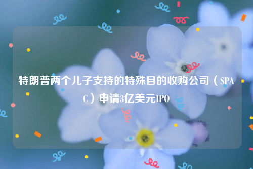 特朗普两个儿子支持的特殊目的收购公司（SPAC）申请3亿美元IPO
